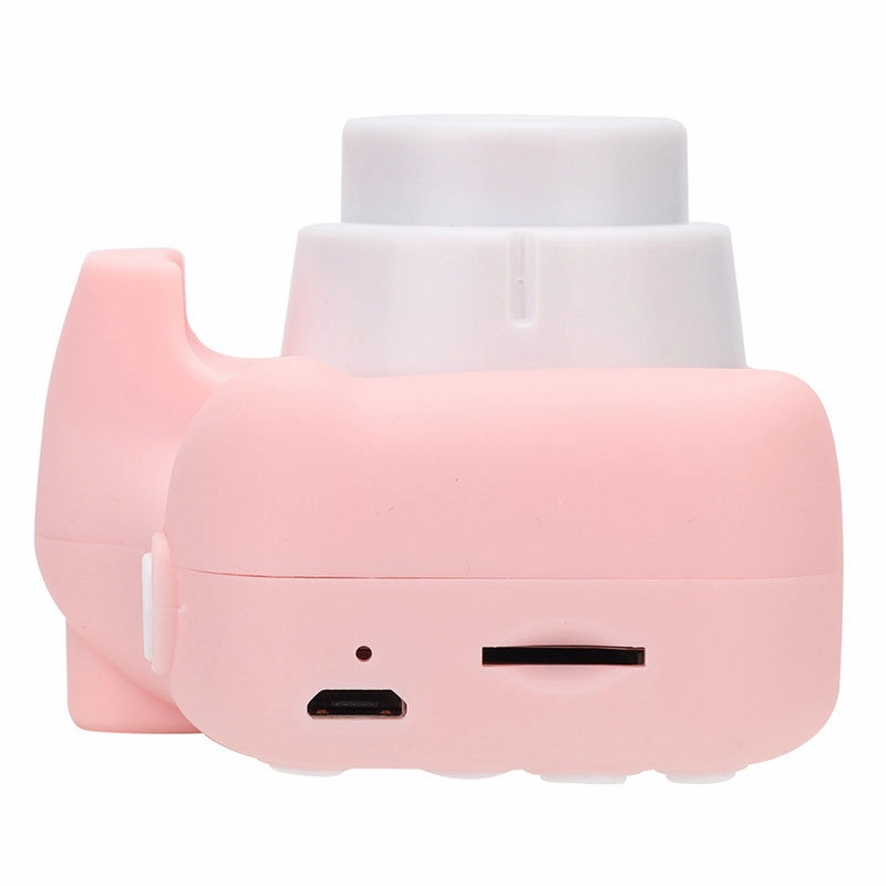 Agfa RealiKids Mini Digital Camera (Pink)