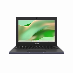 ASUS CR1102C 11" Chromebook monitor,desktop