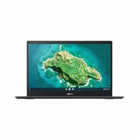 ASUS CX1700CKA 17" Chromebook monitor,desktop