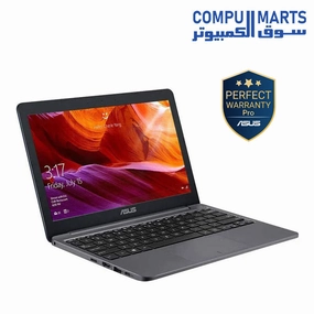 ASUS VivoBook Intel Celeron N3350 RAM 4GB, 500GB, Windows 10 Home, 11.6 HD, Star Grey mini pc,computer