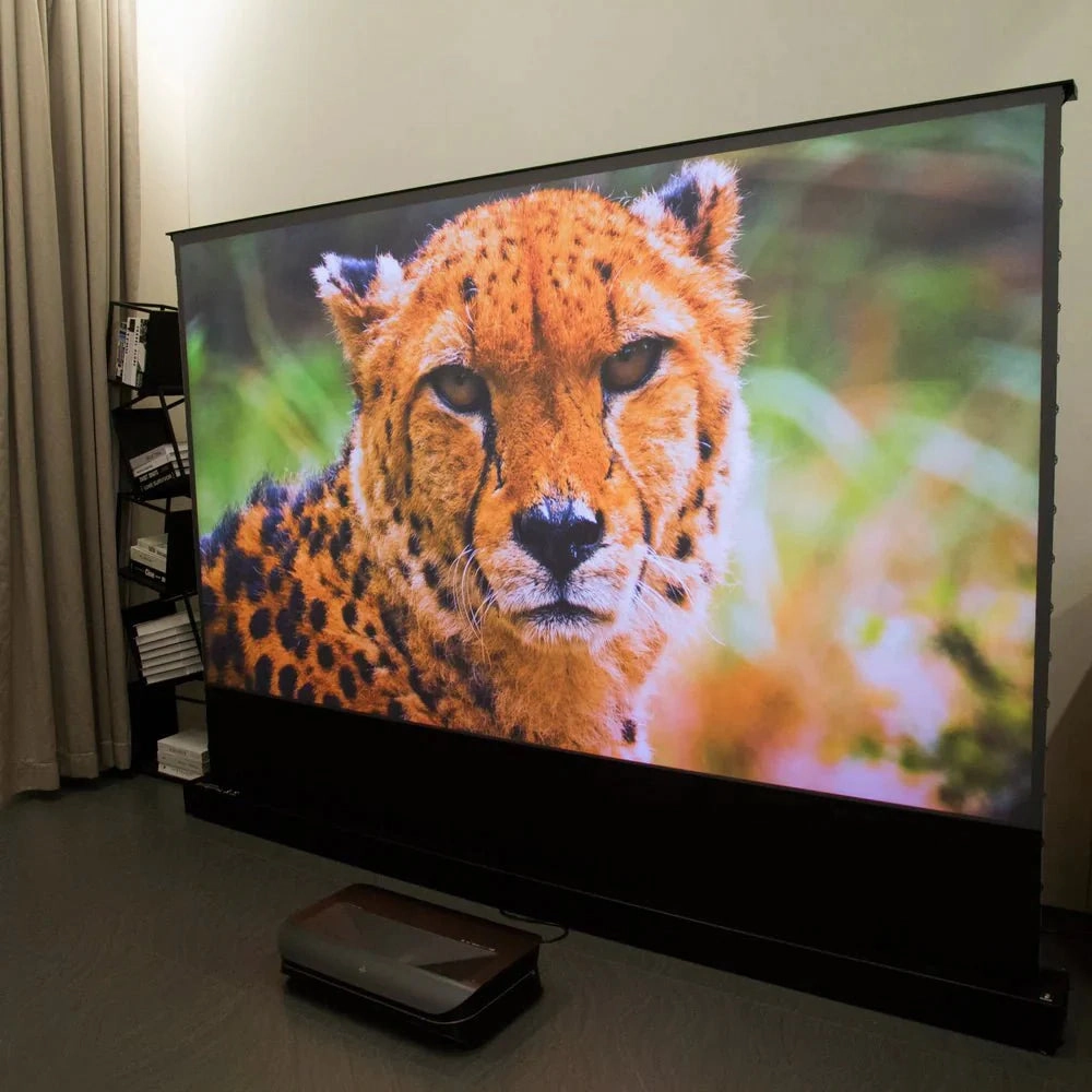 AWOL Vision LTV-3000 Pro   100"-120" Floor rise ALR Screen Bundle
