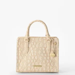 Cami Bags Brahmin Satchels