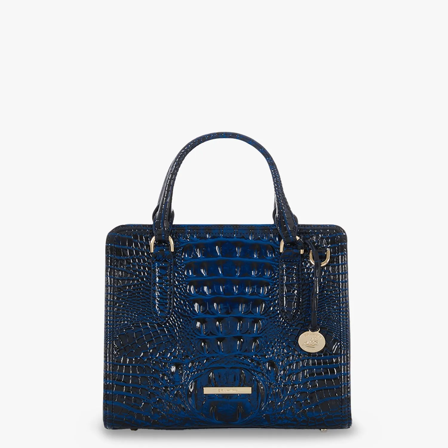 Cami Bags Brahmin Satchels