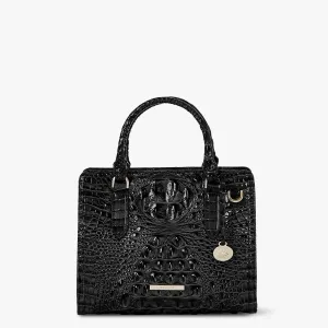 Cami Bags Brahmin Satchels