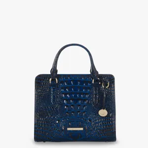 Cami Bags Brahmin Satchels