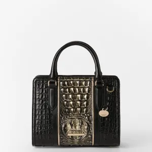 Cami Bags Brahmin Satchels