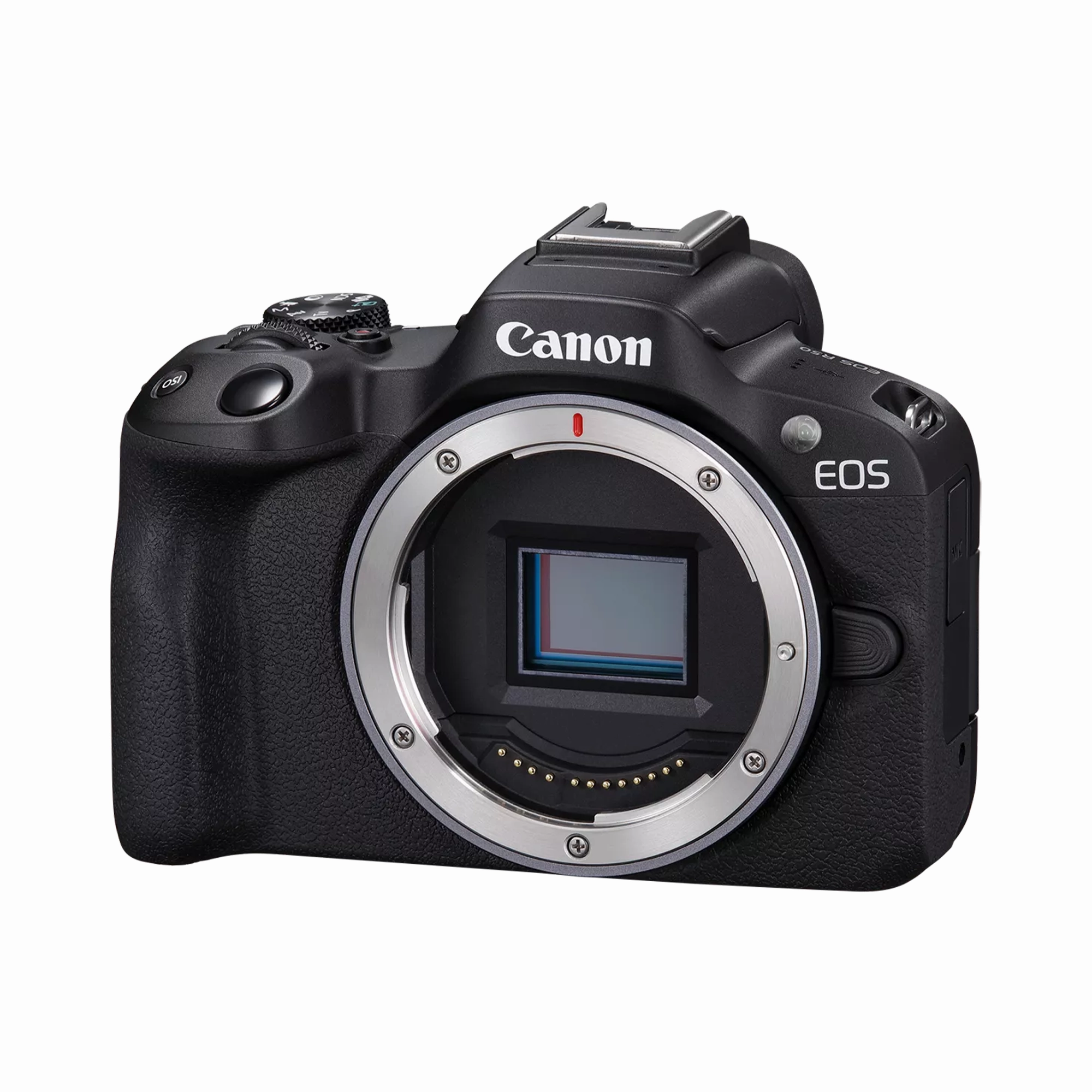 Canon EOS R50 Vlogging Creator Kit