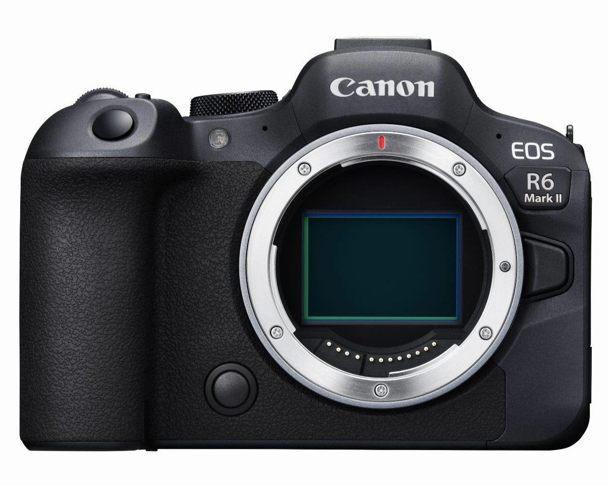 Canon EOS R6 Mark II Mirrorless Camera (Body Only) portrait photography