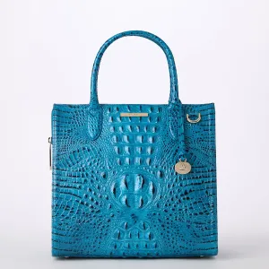 Caroline Bags Brahmin Satchels