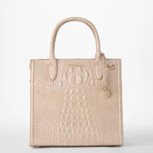 Caroline Bags Brahmin Satchels