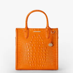 Caroline Bags Brahmin Satchels