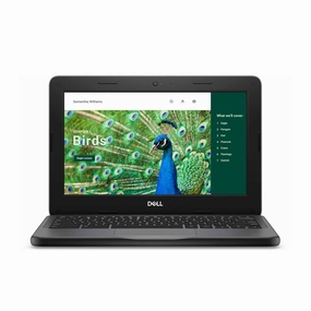 Dell 3120 11" Chromebook monitor,desktop