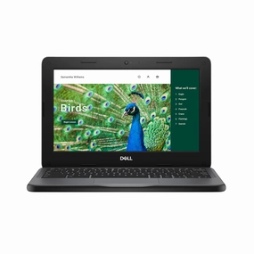 Dell 3120 CS N100 11" Chromebook monitor,desktop
