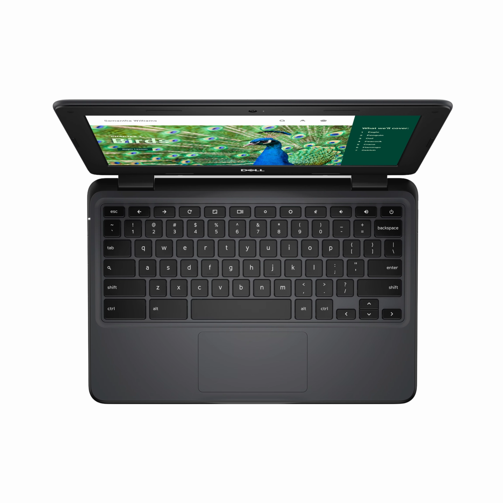 Dell 3120 CS N100 11" Chromebook