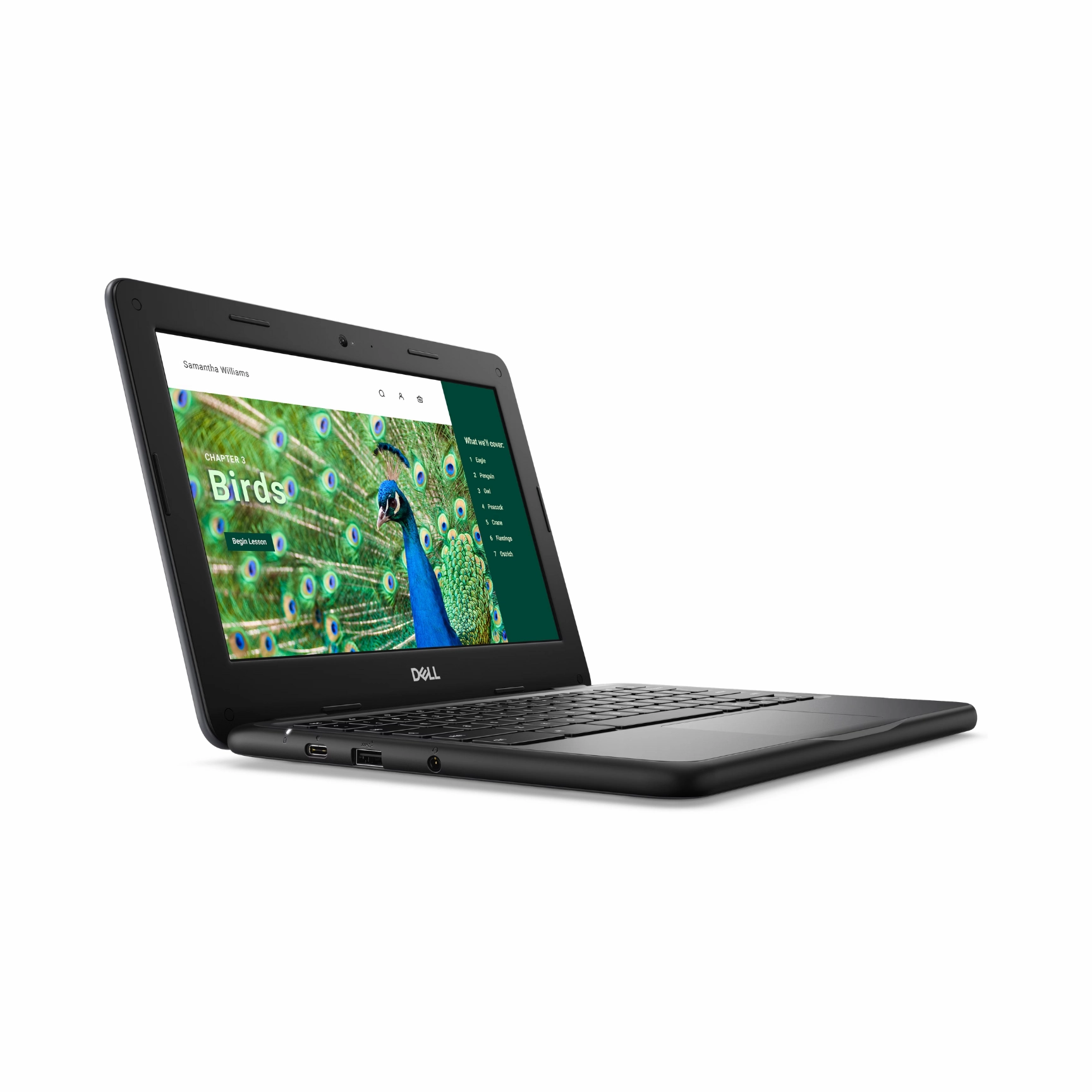 Dell 3120 CS N100 11" Chromebook