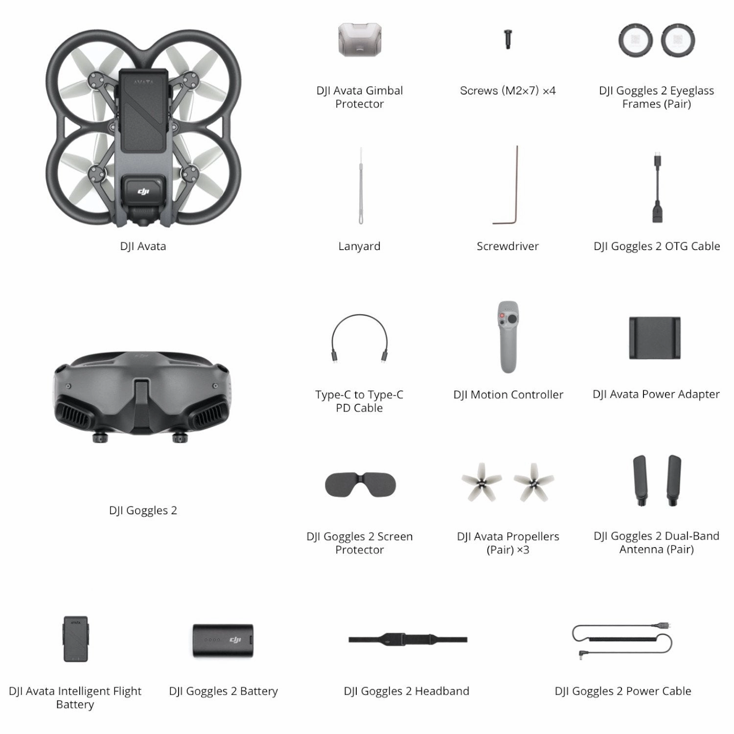 DJI Avata Pro-View Combo with Goggles 2 and Motion Controller with 64GB Bundle