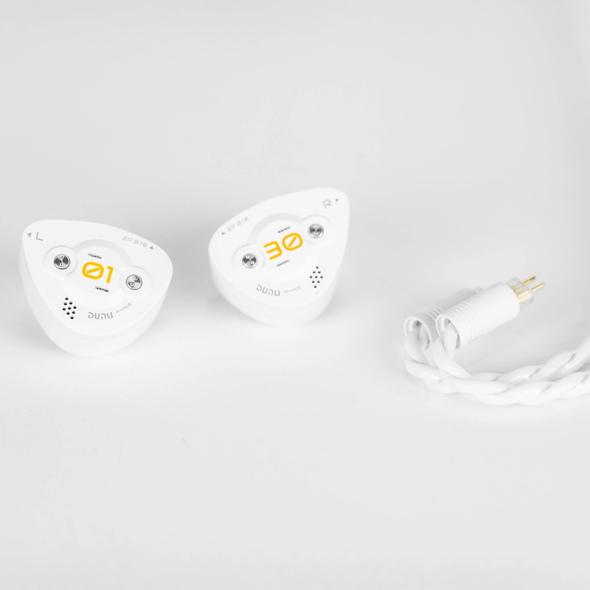 DUNU DK3001BD In-Ear Monitors