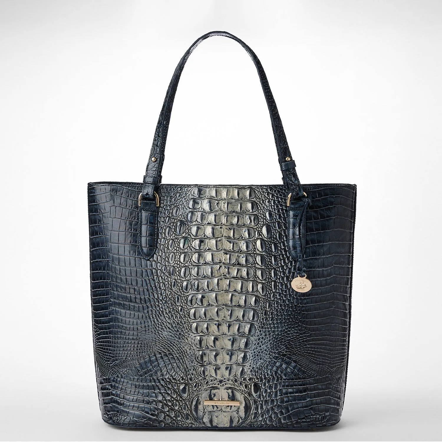 Ezra Bags Brahmin Travel Bags