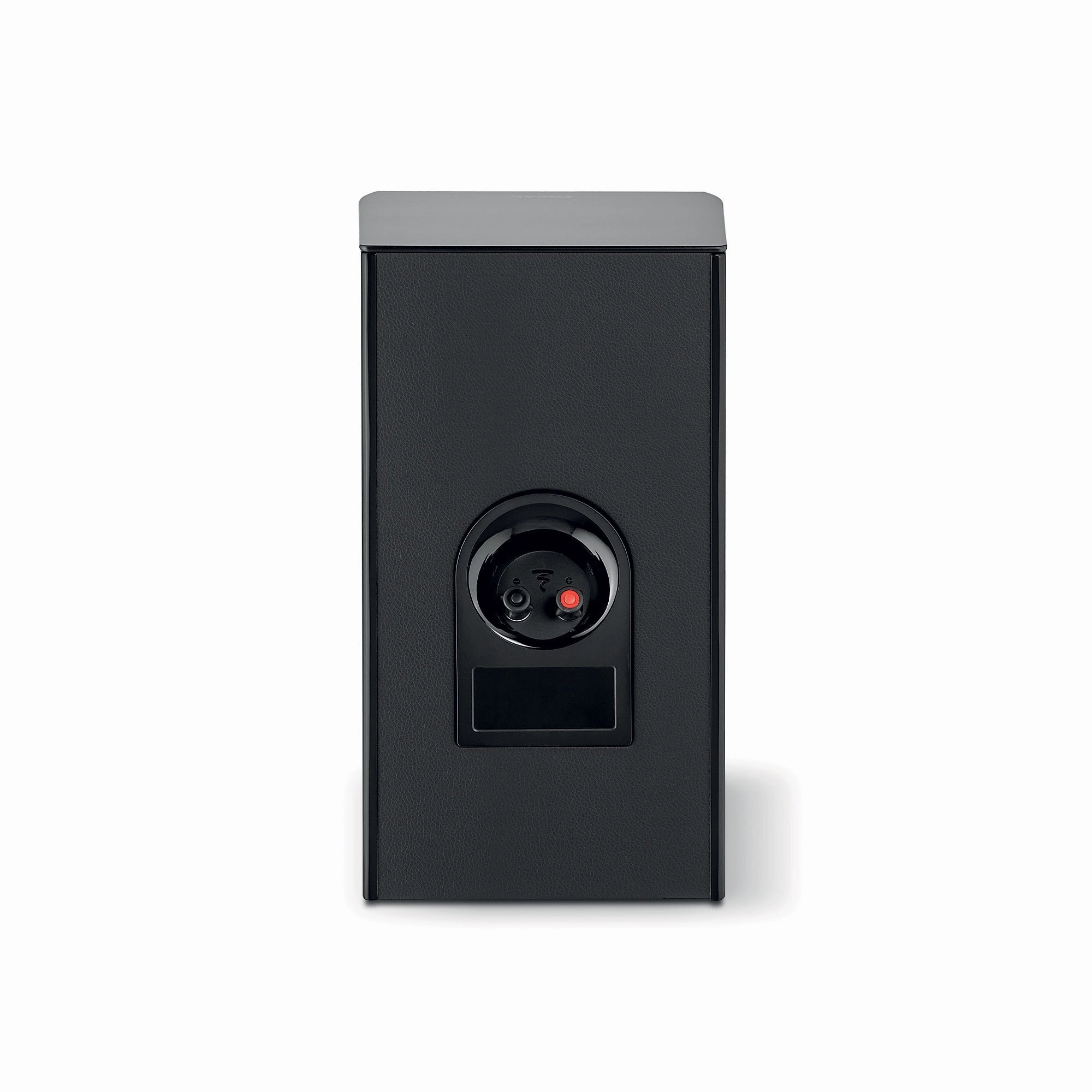 Focal Aria Evo X N1