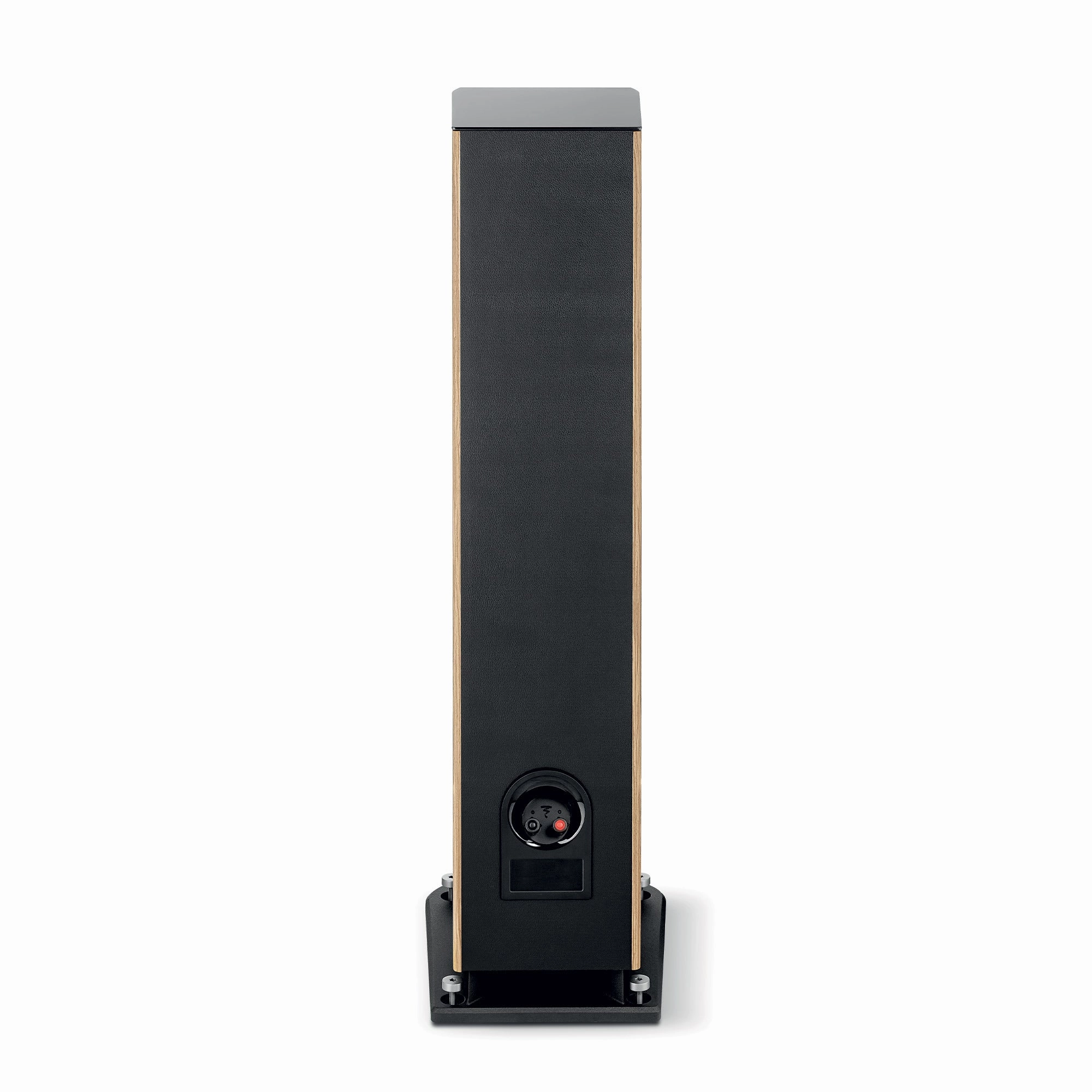 Focal Aria Evo X N2