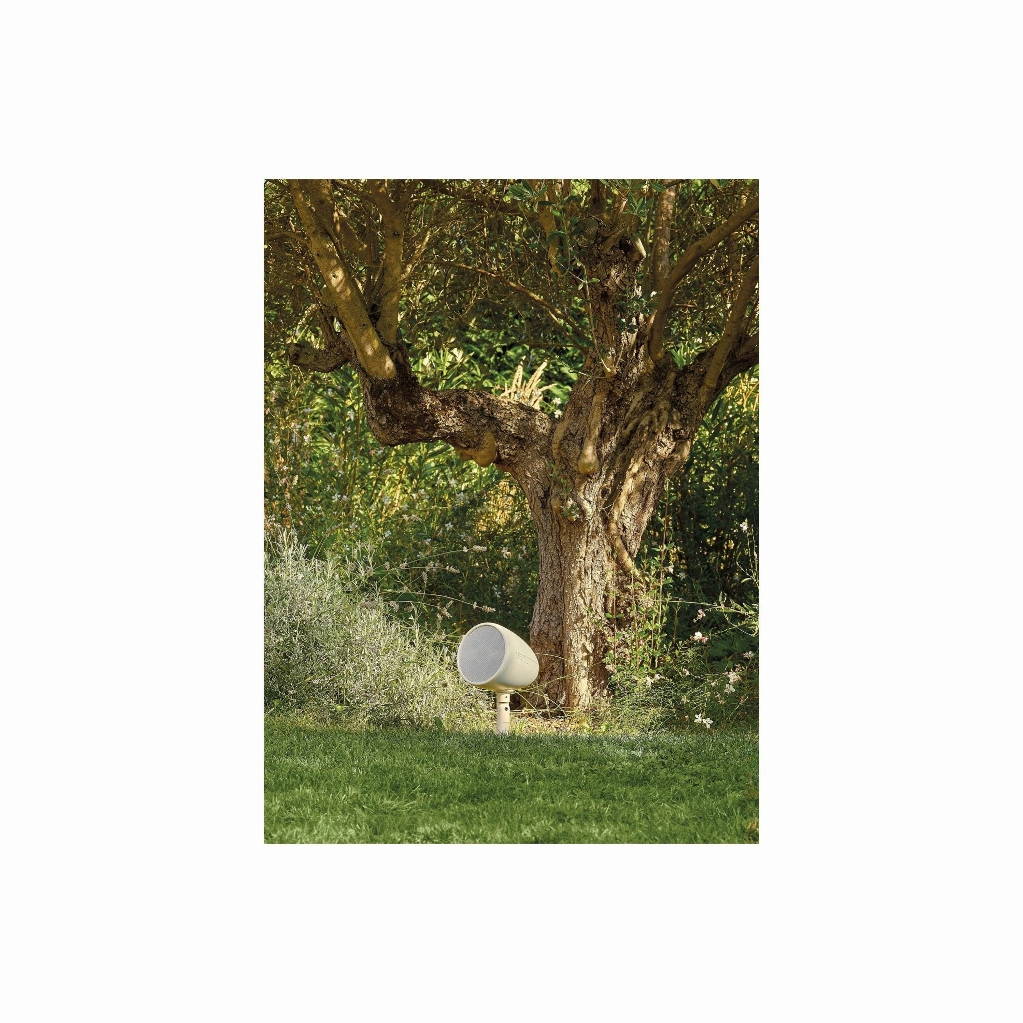 Focal Littora OD 4.1 Outdoor Weatherproof Speaker System Package