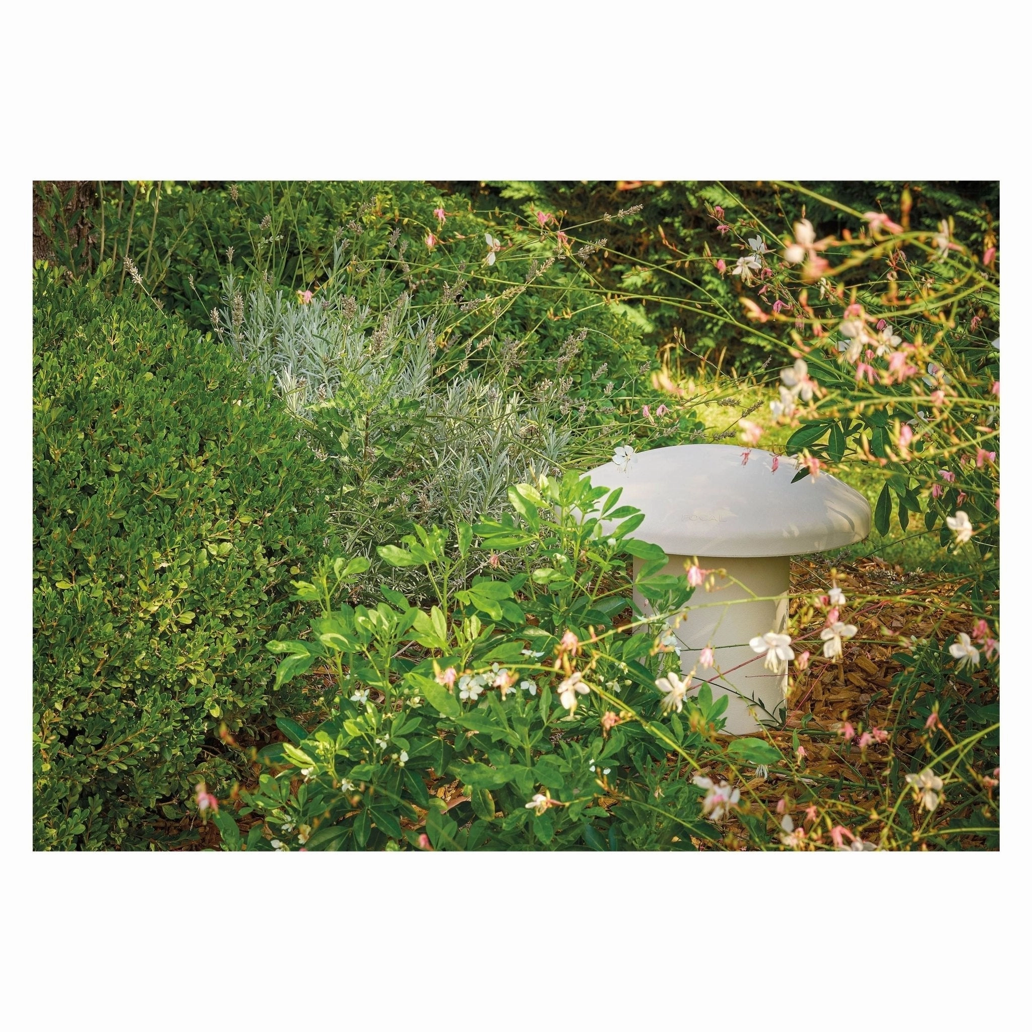 Focal Littora OD 4.1 Outdoor Weatherproof Speaker System Package