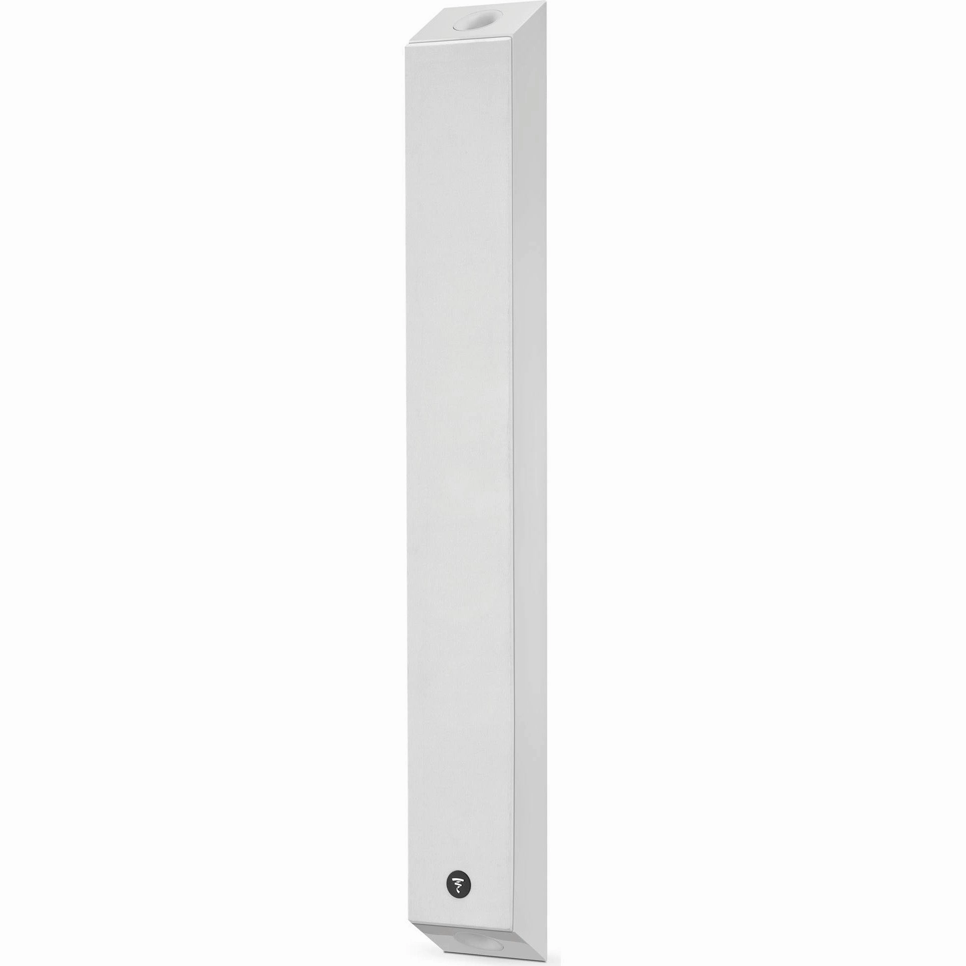 Focal On Wall 302
