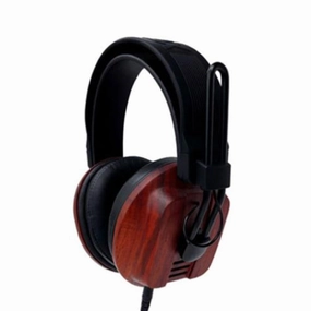 Fostex Stereo Headphones T60RP 50th Anniversary in ear monitors, dj headphones