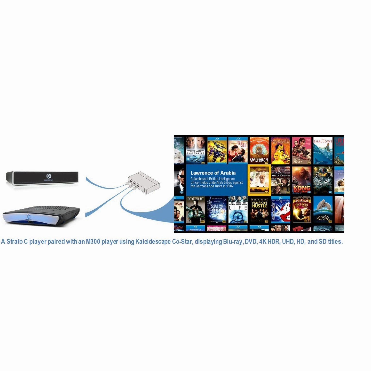 Kaleidescape - Co-Star HDMI Switch Kit