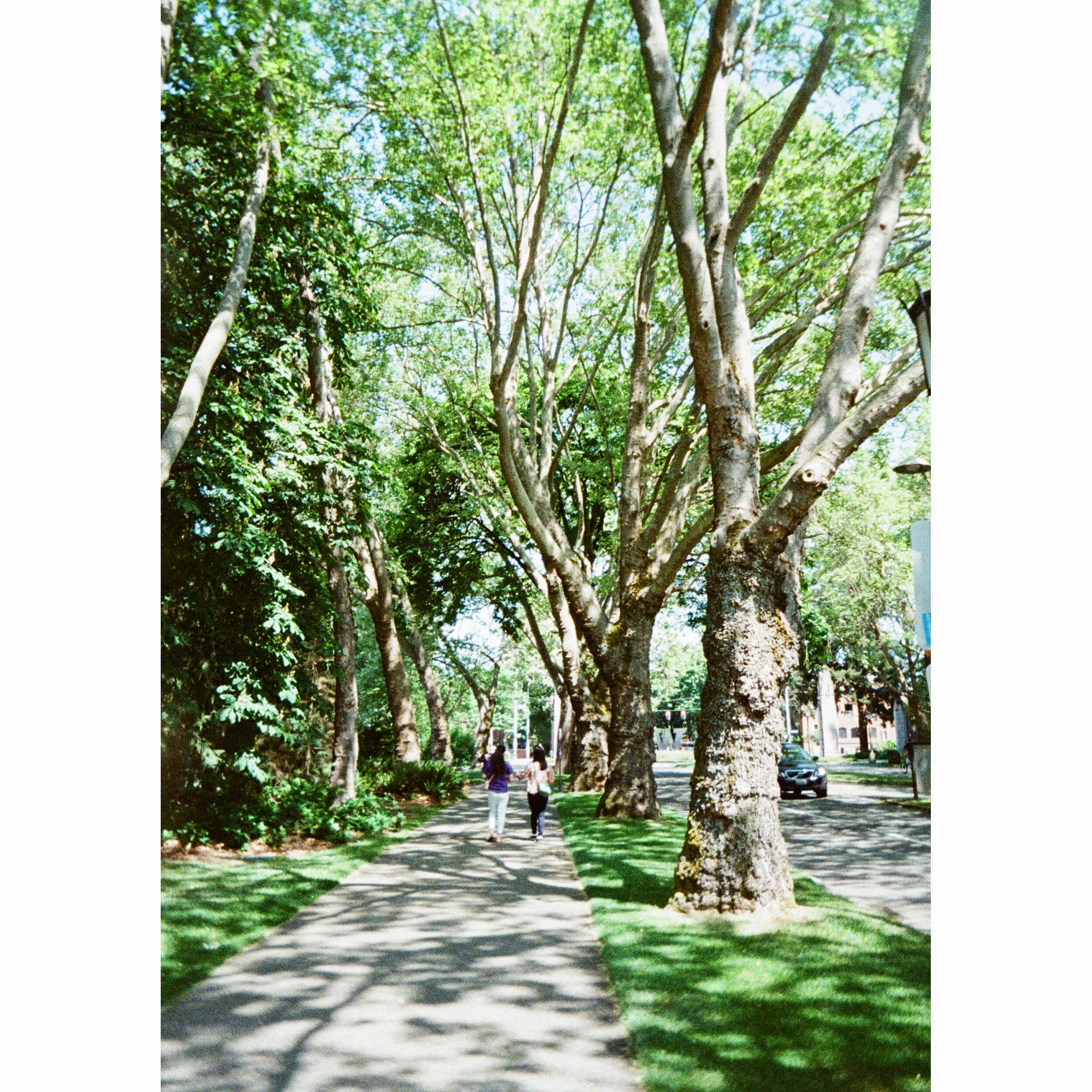 Kodak Ektar H35N Half Frame Film Camera - Glazed Blue