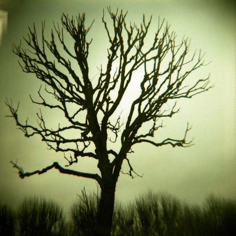 Lomography Diana F  Film Camera and Flash - Teal/Black