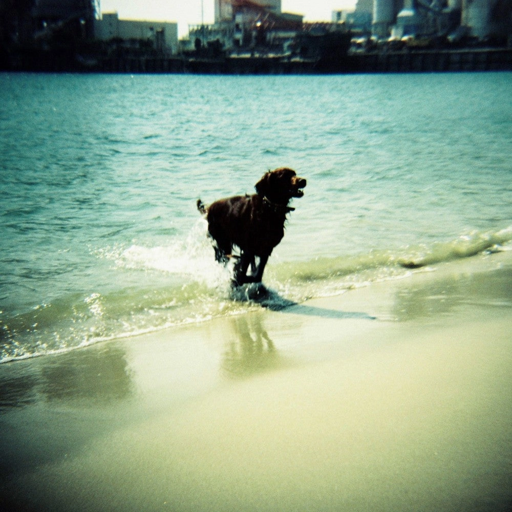 Lomography Diana F  Film Camera and Flash - Teal/Black