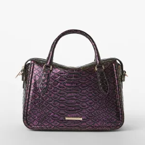 Micaela Bags Brahmin Satchels