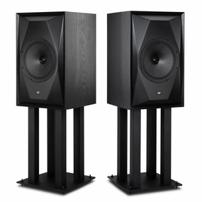 MoFi Electronics SP10 SourcePoint 10 Loudspeakers (Pair) good projector for home,best home audio