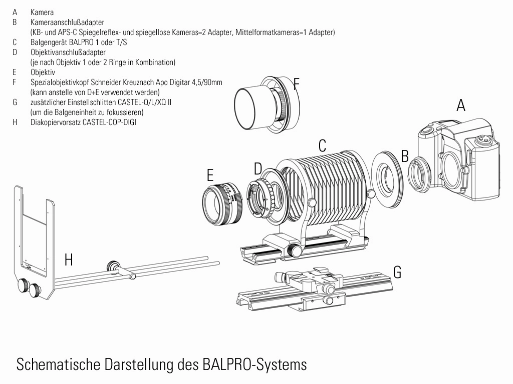 NOVOFLEX BALPRO T/S UNIVERSAL BELLOWS TILT/SHIFT