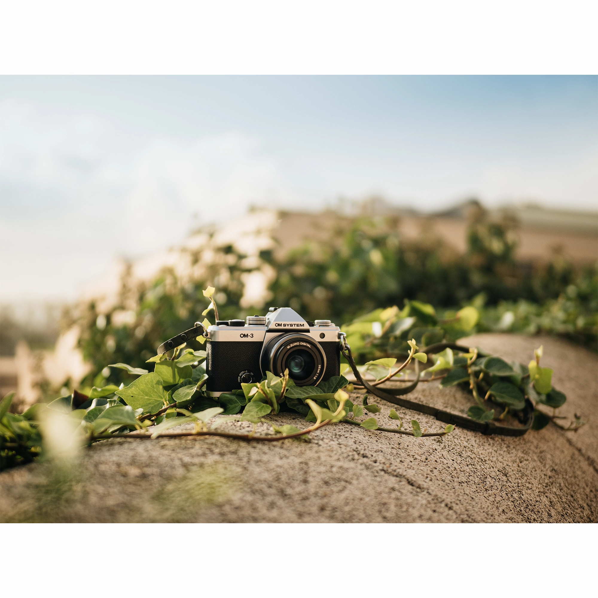 OM System OM-3 Mirrorless Camera