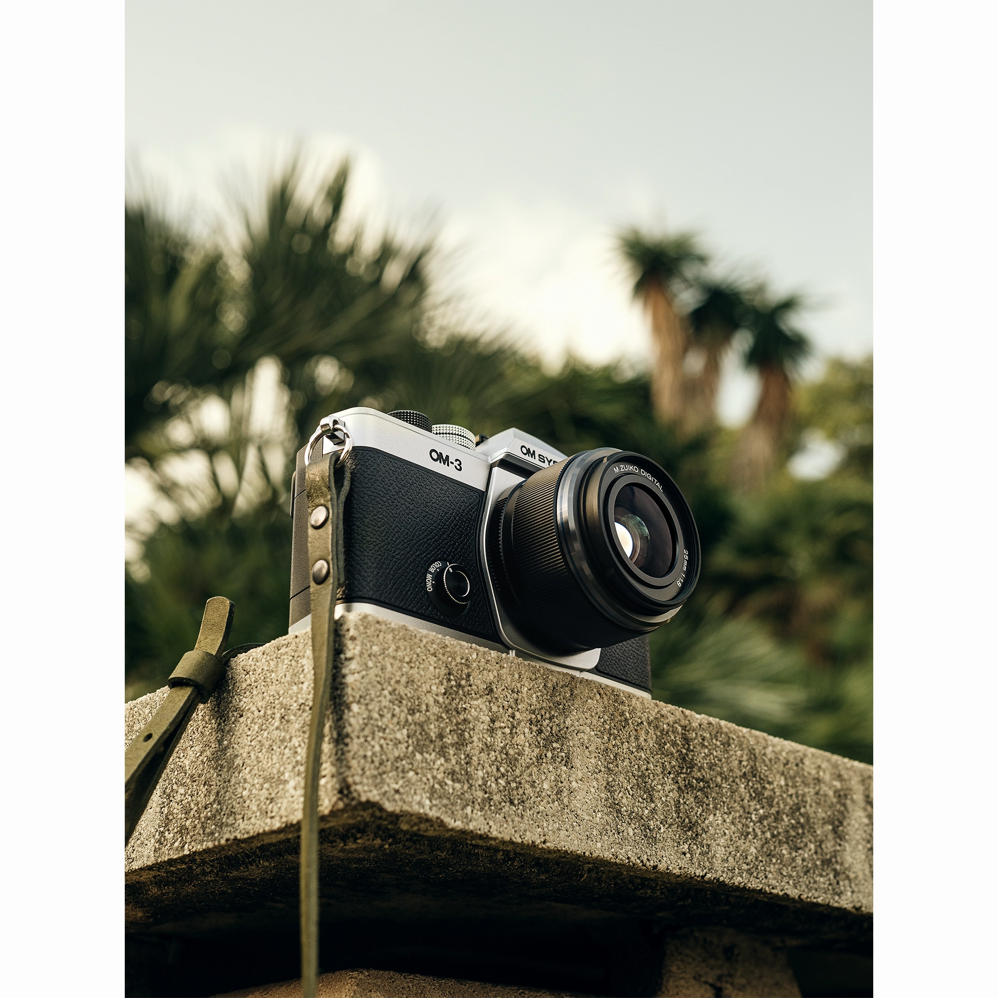 OM System OM-3 Mirrorless Camera