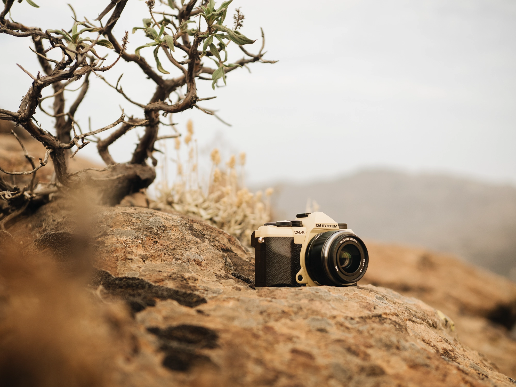 OM System OM-5 Mark II Mirrorless Camera - Sand Beige