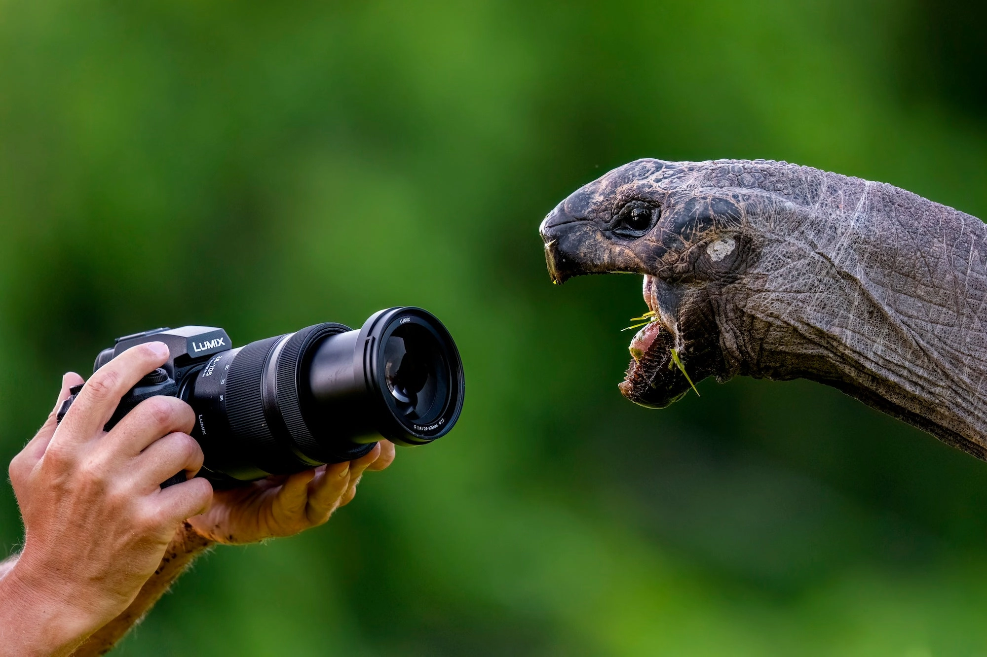 Panasonic Lumix S1RII Mirrorless Camera