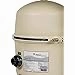 Pentair Quad DE High Flow Filter | 60 Sq Ft | 120 GPM
