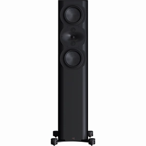 Perlisten Audio R5t Tower good projector for home,best home audio