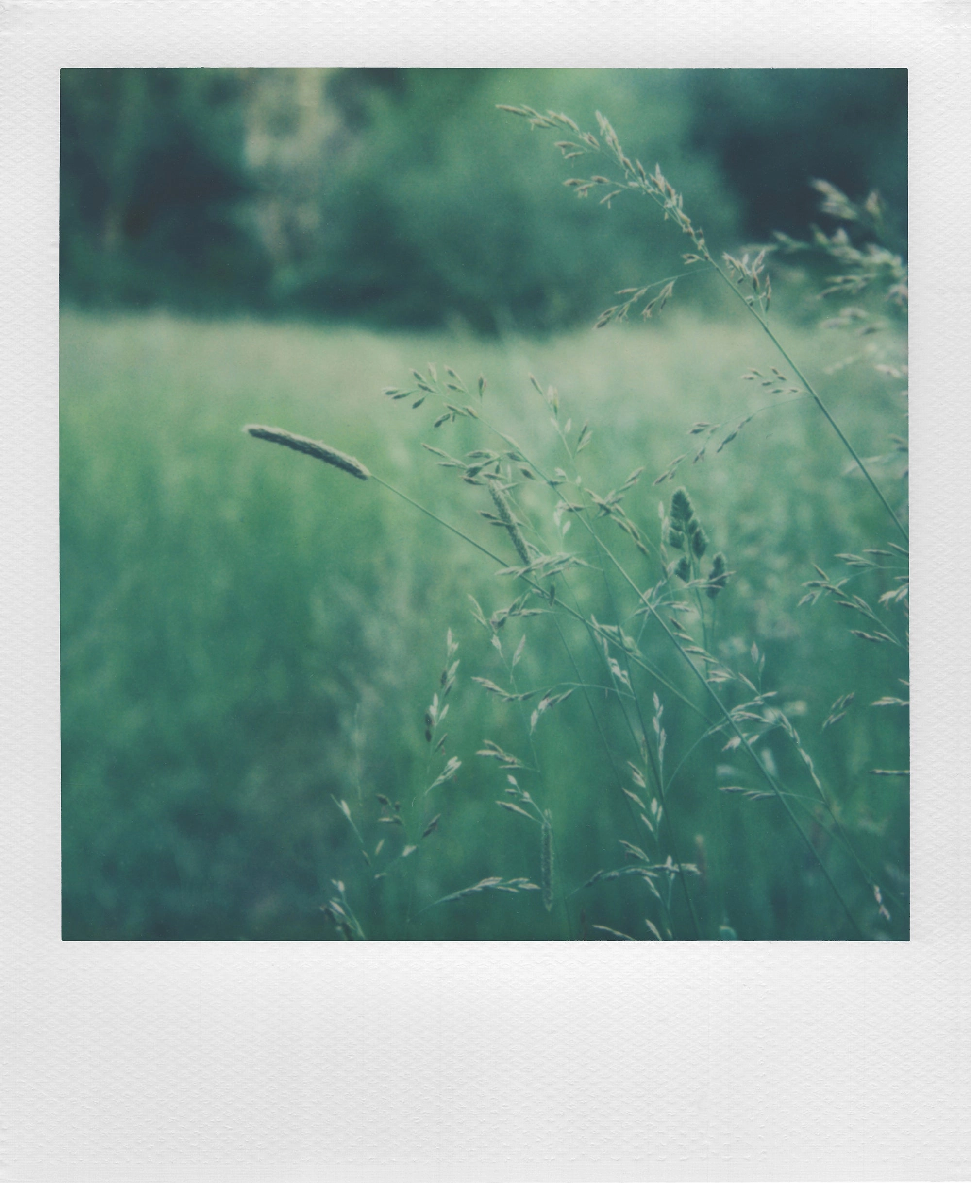 Polaroid I-2 Instant Camera