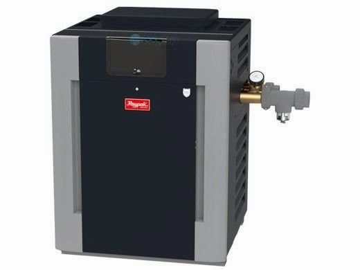 Raypak 200K BTU ASME Natural Gas Commercial Pool Heater (B-R206A-EN-C)