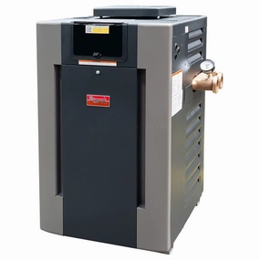 Raypak 266K BTU ASME Natural Gas Residential Pool & Spa Heater (B-R266A-EN-X)