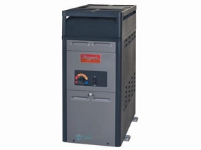Raypak P-R106A-AP-C Analog Control Propane Gas Heater, 105K BTU, 120V,  Electronic Ignition