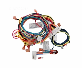 Raypak Wire Harness  Compatible with R185B, R265B, R335B & R405B IID Pool Heaters