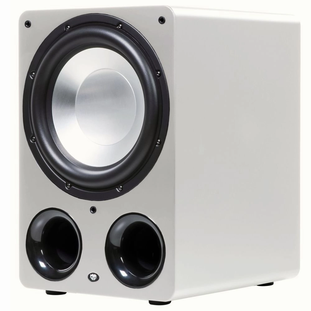 RBH S-12N 12" non-powered subwoofer