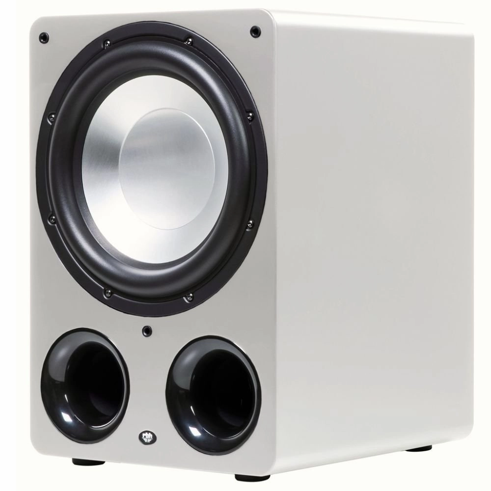 RBH Sound S-12HP 12" powered subwoofer