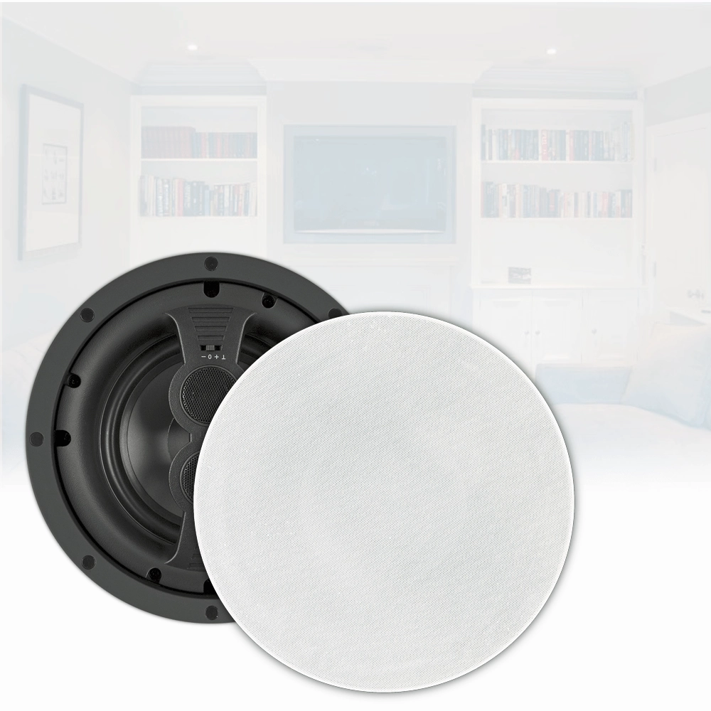 RBH Sound VA-615DS 2-way dual channel in-ceiling speaker for single-point-stereo