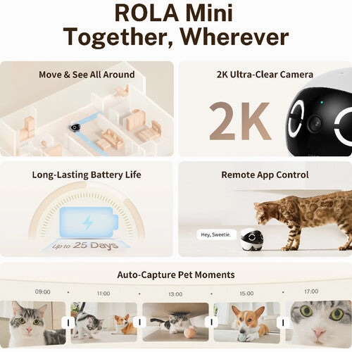 ROLA Mini Companion Robot